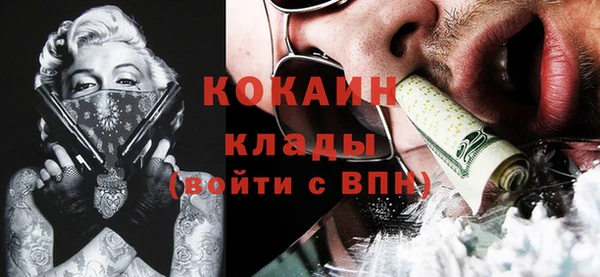 гидра Костерёво