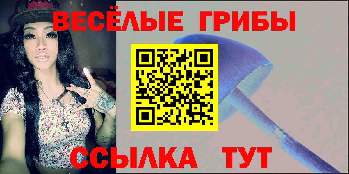Сатка  где купить наркоту  Вход с VPN  Псилоцибиновые грибы Cubensis 
