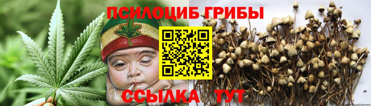 Галлюциногенные грибы Psilocybe Сатка